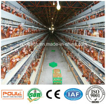 Best Price Chicken Farm Cage for Layer Broiler Pullet